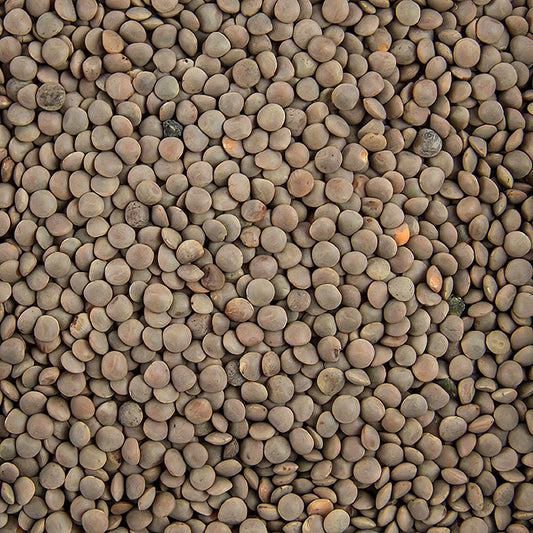 Braune Linsen, klein und kochfertig in 1 kg Verpackung, perfekt für Eintöpfe, Salate und Suppen