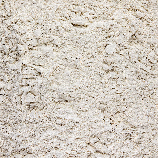 Packung Buchweizenmehl, 1 kg, glutenfrei, reich an Nährstoffen, vielseitig in der Küche, ideal für Brot, Kuchen und Pfannkuchen, in der Schweiz kaufen