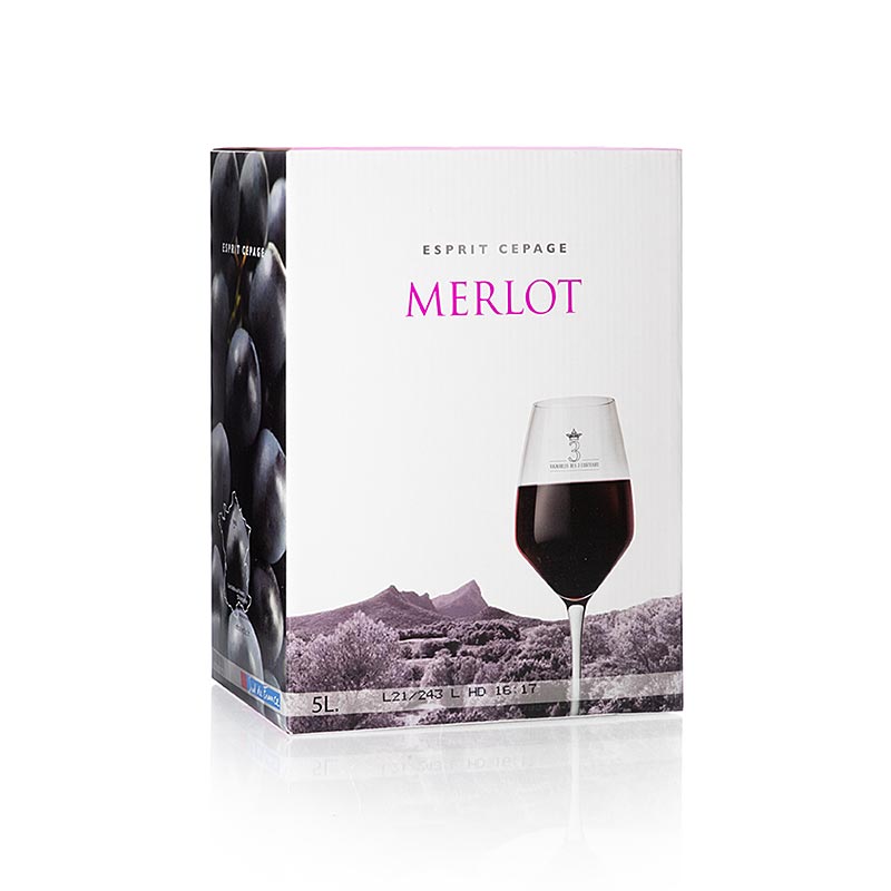 Merlot, trocken, 13% vol, Bag in Box, Coteaux du Pic, 5 l - Wein in praktischer Bag-in-Box Verpackung, ideal für gesellige Anlässe
