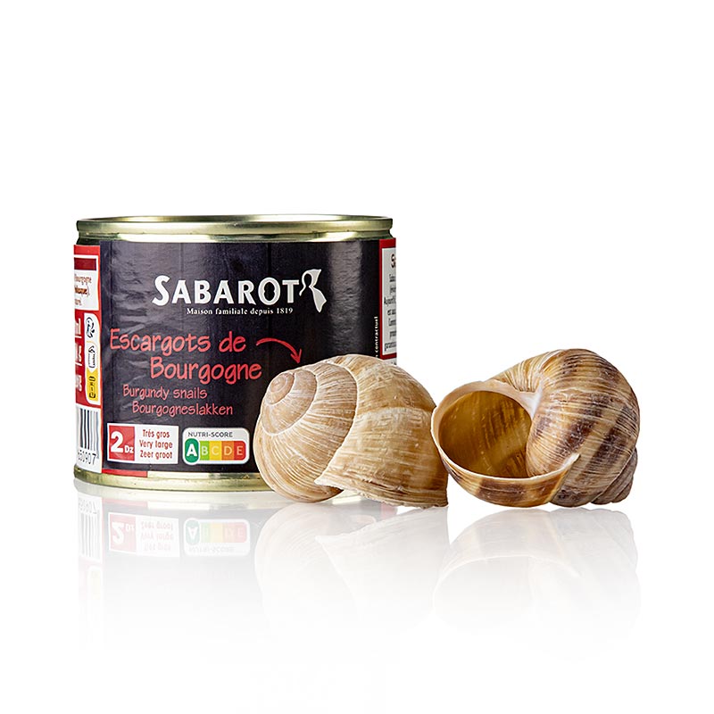 Lot d'escargots - Helix Pomatia, 24 Pièces  24 coquilles, 200 g, 24 pièces