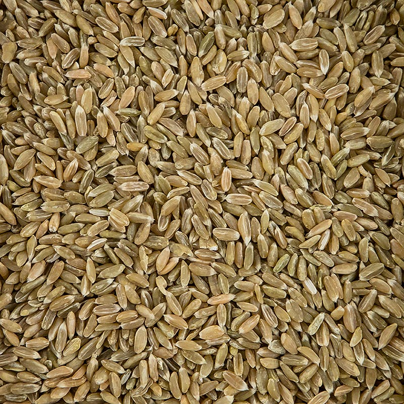 Grünkern, ganz, BIO, 1 kg - Halbreif geerntetes und gedörrtes Dinkelkorn, angenehm würzig im Geschmack, ideal für Suppen und Saucen