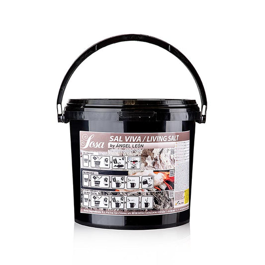 Salz Sal Viva / Living Salt by Ángel León, 3 kg - 100% natürlich und nachhaltig gewonnen, mit einzigartigem Geschmack und Textur, ideal für Gourmet-Gerichte, jetzt in der Schweiz kaufen