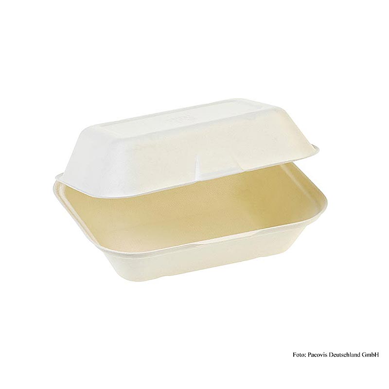 Einweg Naturesse Food Box, Klappdeckel, 23,5x19,5x7,4cm, Zuckerrohr, 250 St - Nachhaltige Einweglösung für Grillpartys und Outdoor-Veranstaltungen Hergestellt aus umweltfreundlichem Zuckerrohr Passend für Essen und Besteck