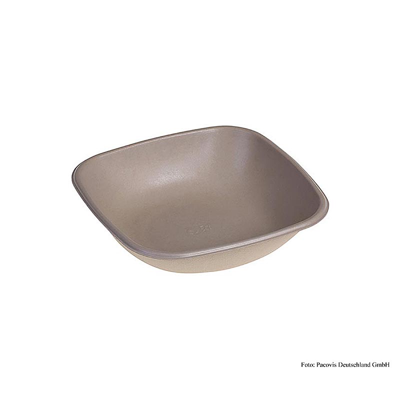Einweg Naturese Take Away Bowle (Schale) quad, 17x17x4cm, 500ml, 500 St - Perfekte Lösung für Ihr Grillzubehörbesteck und Geschirr, um Ihr Picknick oder Grillfest zu genießen
