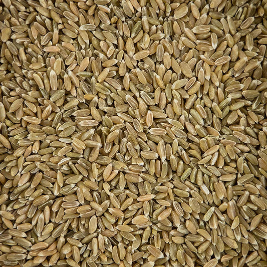 Bio Grünkern, ganz, 500 g, DE-ÖKO-001, halbreif geerntetes und gedörrtes Dinkelkorn, würziger Geschmack, ideal für Suppen und Saucen