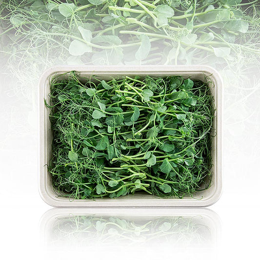 plein Microgreens "Petits pois", toutes jeunes feuilles/germes, 100 g