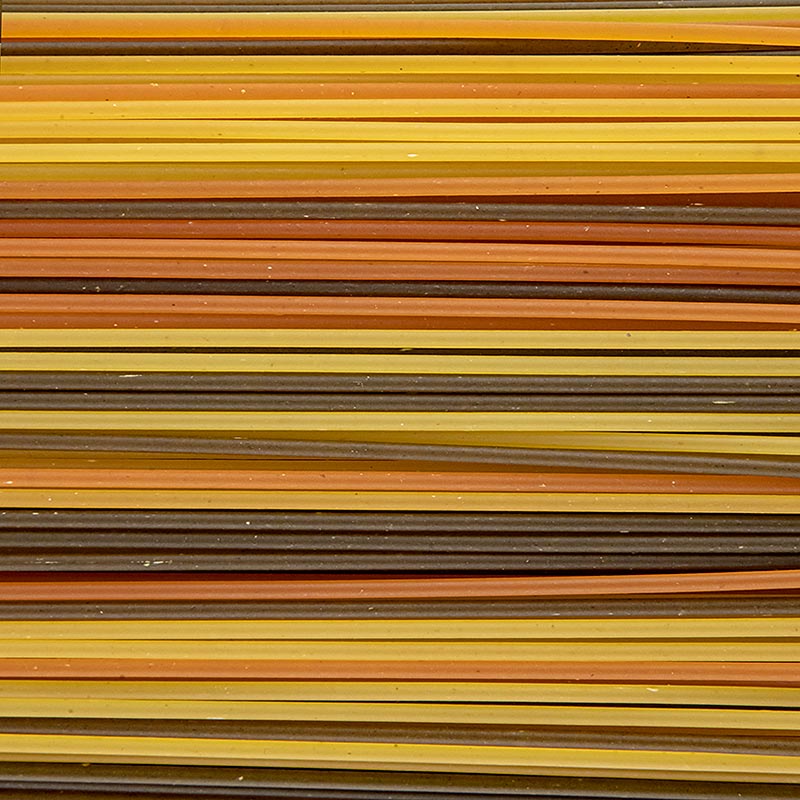 Lang, dünn und bunt: Acolore Fantasia Nudeln Spaghetti Tricolore von Casa Rinaldi, 500 g