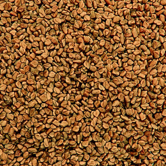 Frisch geröstete Bockshornkleesamen (Fenugreek Methi Seeds) in Bio-Qualität, ideal für Hobby- und Profiköche, um authentische Aromen in Currys, Suppen und Broten zu verleihen - 1 kg Packung