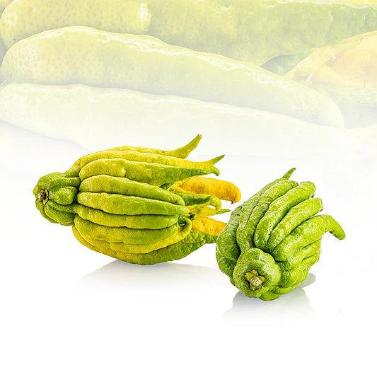 German:
Buddhas Hand, Fingerzitrone (Zitronat), frisch, ca450 g, 1 St - Exotische und frische Zitronenart, die wie eine Hand geformt ist