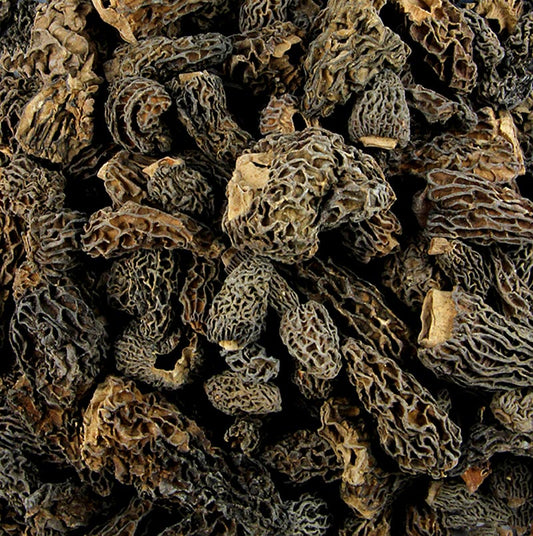 Getrocknete Spitzmorchel-Köpfe der Sorte Medium Specials von Borde, 1 kg