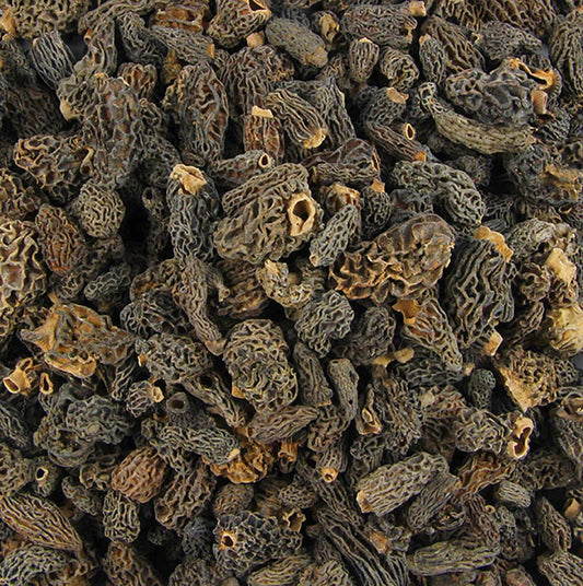Getrocknete Spitzmorchel-Köpfe, auch bekannt als Tinies, in einer 1 kg Packung von Plantin