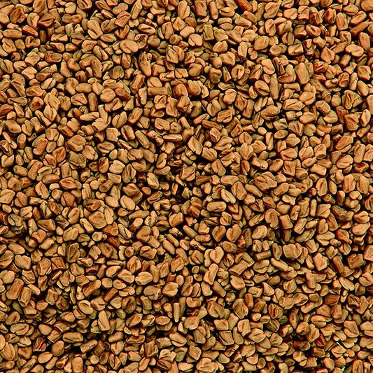 Bockshornkleesamen (Fenugreek Methi Seeds) (vor Gebrauch rösten!), 1 kg | Salz, Pfeffer, Gewürze, Aromen,Trockengemüse | thungourmet