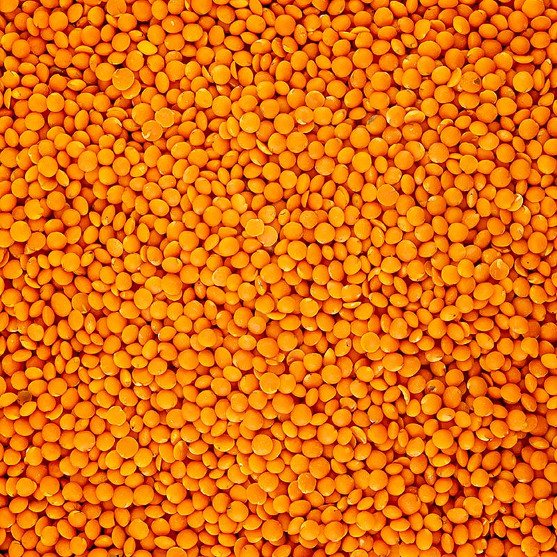Rote Linsen, BIO, 25 kg