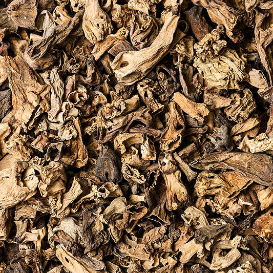 Cagliata di spugnole a punta - solo gambi, essiccate, 250 g