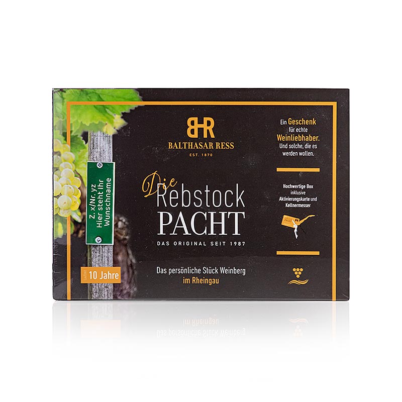 Rebstockpacht "Rheingau" in der Box, 10 Jahre Laufzeit, Balthasar Ress, 1 St