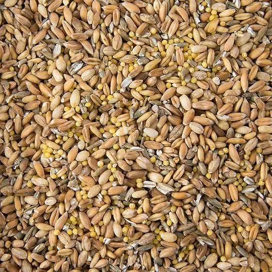 6 Korn Mischung (Weizen, Roggen, Dinkel, Hafer, Hirse, Gerste), 1 kg