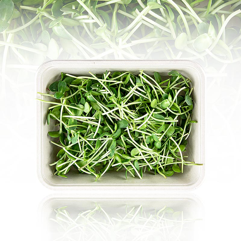 vollgepackt Microgreens "Sonnenblume", Spossen frisch,  100 g