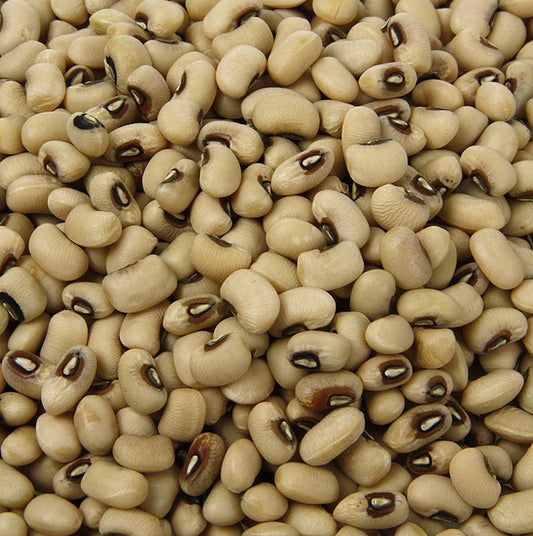 Haricots blancs séchés aux yeux noirs, également connus sous le nom de haricots Black-Eye, paquet de 500 g