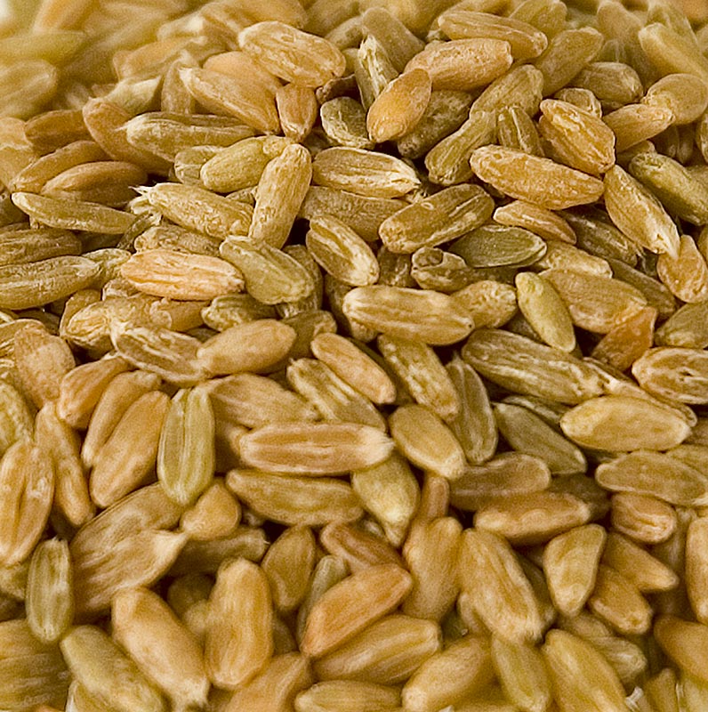 Épeautre vert, entier, séché au bois, 1 kg - Épeautre récolté à demi-mûr, séché avec précaution et décortiqué, goût agréablement épicé, idéal pour les soupes et les sauces