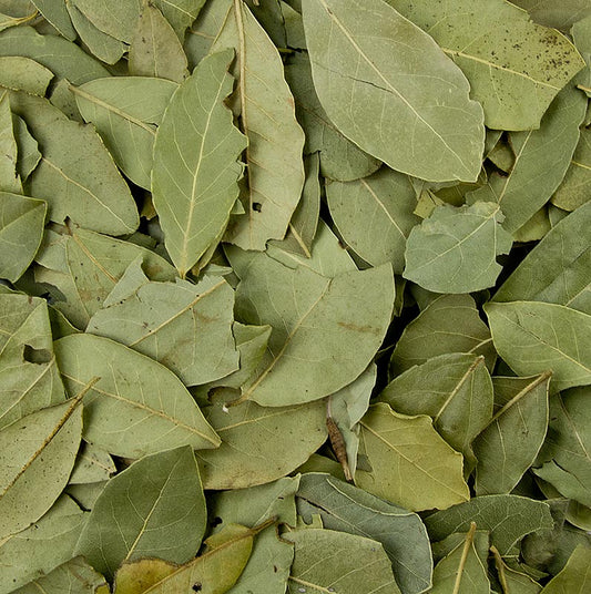 Feuilles de laurier entières, 1 kg - Utilisation polyvalente dans les rôtis, les sauces, le bouillon de poisson et autres, haut pouvoir aromatique, à conserver au sec