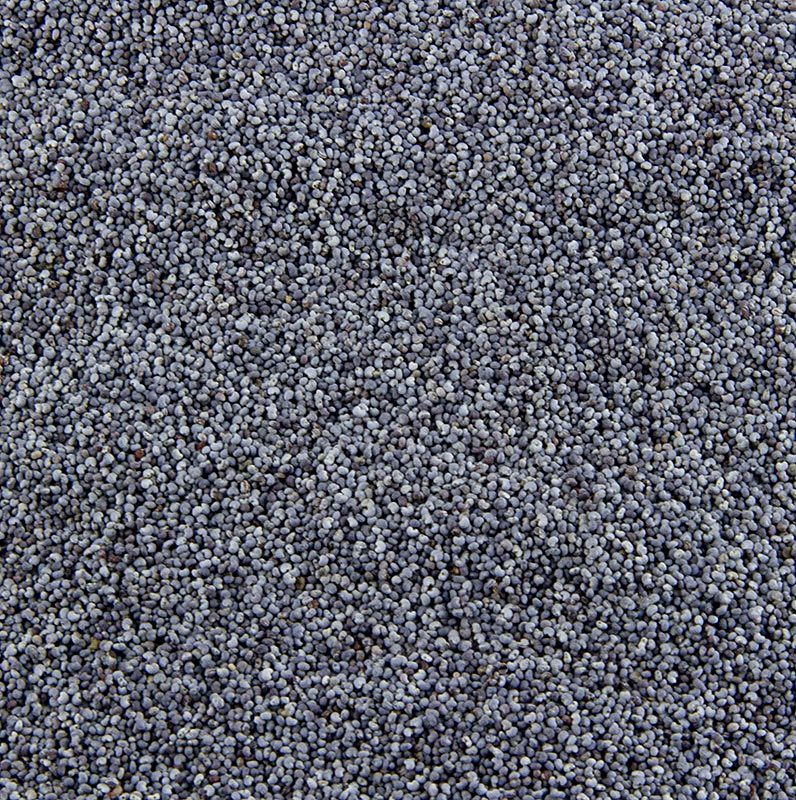 Graines de pavot bleu, entières, 1 kg - la variété de pavot la plus connue, à l'arôme plus âpre et plus intense, idéale pour les plats épicés à base de pavot et comme accompagnement