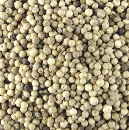Poivre blanc, entier, 1 kg - Plus fort et moins aromatique que le poivre noir, idéal pour assaisonner les sauces claires, les soupes, les bouillons, le poisson, la viande, les aspics, les rôtis et le veau.