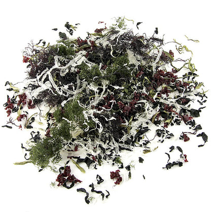 Kaiso Dried Seaweed Mix, Algues séchées, 6 sortes d'algues pour salade Kaiso, 100 g