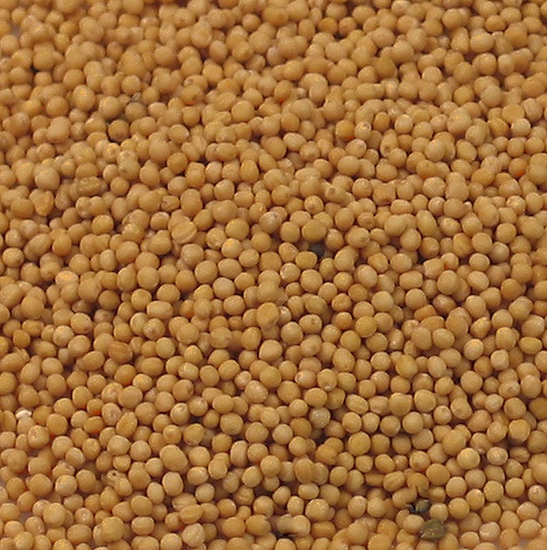 Moutarde claire, 1 kg : Moutarde claire, un ingrédient populaire en Europe occidentale et aux États-Unis pour les viandes cuites ou grillées et les sauces, ainsi que pour améliorer la stabilité des sauces émulsifiées et comme ajout aux légumes marinés.