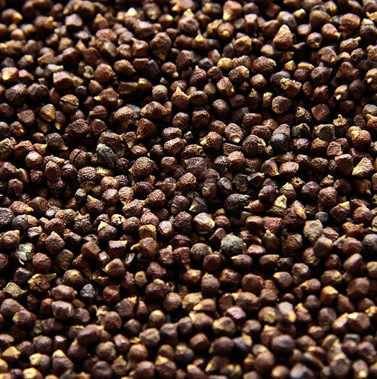 Image d'un produit de 250 g Grains de paradis - poivre de Guinée, de Melegue, de Malagetta, de Maniguette, un substitut du poivre noir, avec un arrière-goût piquant, chaud et amer, difficile à trouver en Europe, utilisé en Afrique du Nord et comme ingrédient dans les mélanges d'épices