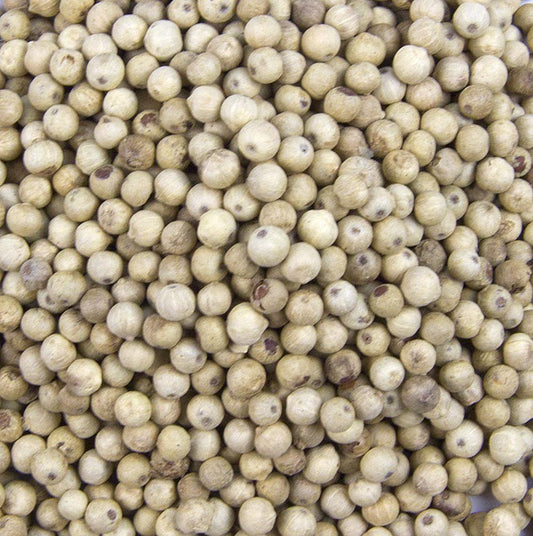 Poivre blanc entier de la vallée de Penja au Cameroun, à l'arôme intense et piquant, idéal pour l'assaisonnement de poissons, volailles et salades.