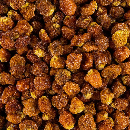 Airelles du Cap/Physalis séchées, 1 kg, goût sucré et acidulé, fruité et aromatique, produites à partir de fruits bien mûrs, conservées par extraction d'une partie de l'eau.