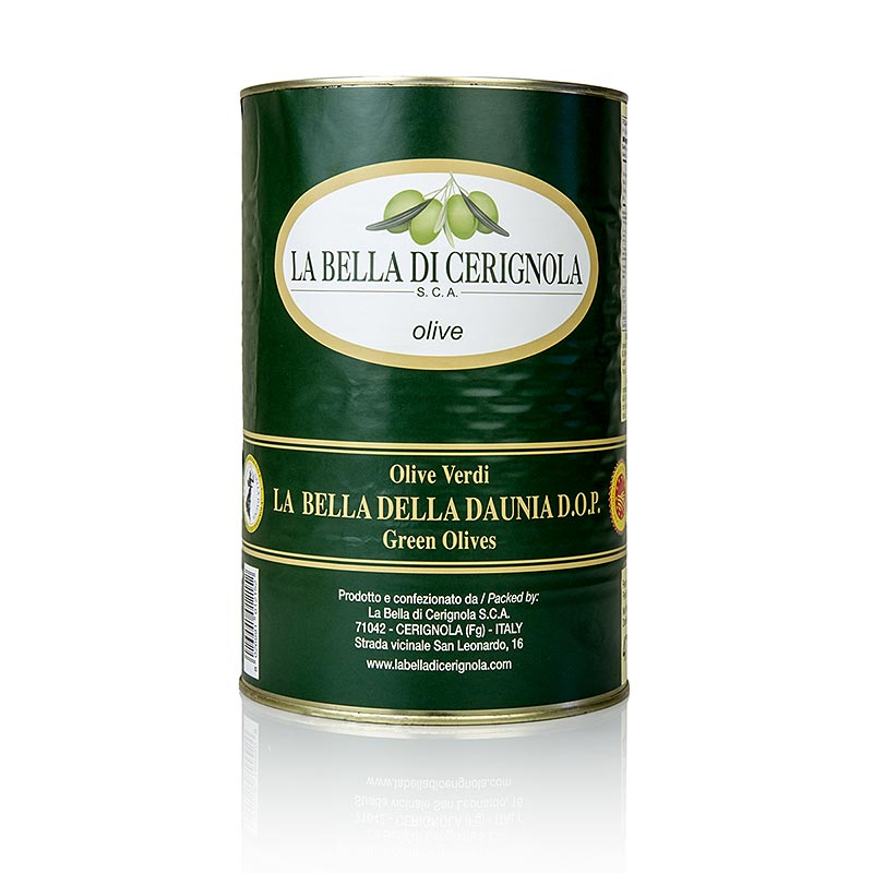 Olives vertes géantes de la variété Bella di Cerignola des Pouilles en saumure, 4,25 kg - cultivées autour de la ville de Cerignola, avec beaucoup de pulpe, une consistance agréable et un goût doux