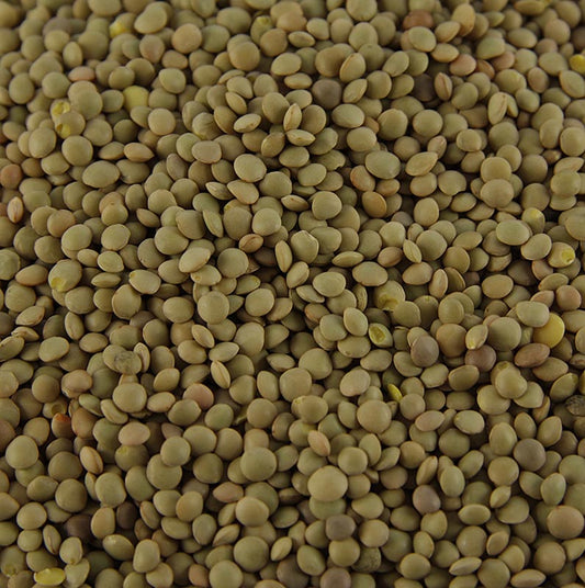 Lentilles, brunes - Lenticchie Umbre, Lentilles de montagne, Ombrie, Bartolini, 500 g - Lentilles de montagne de Castelluccio en Ombrie, de qualité supérieure, fermes, pouvant être cuites sans trempage et ayant un arôme de noisette.