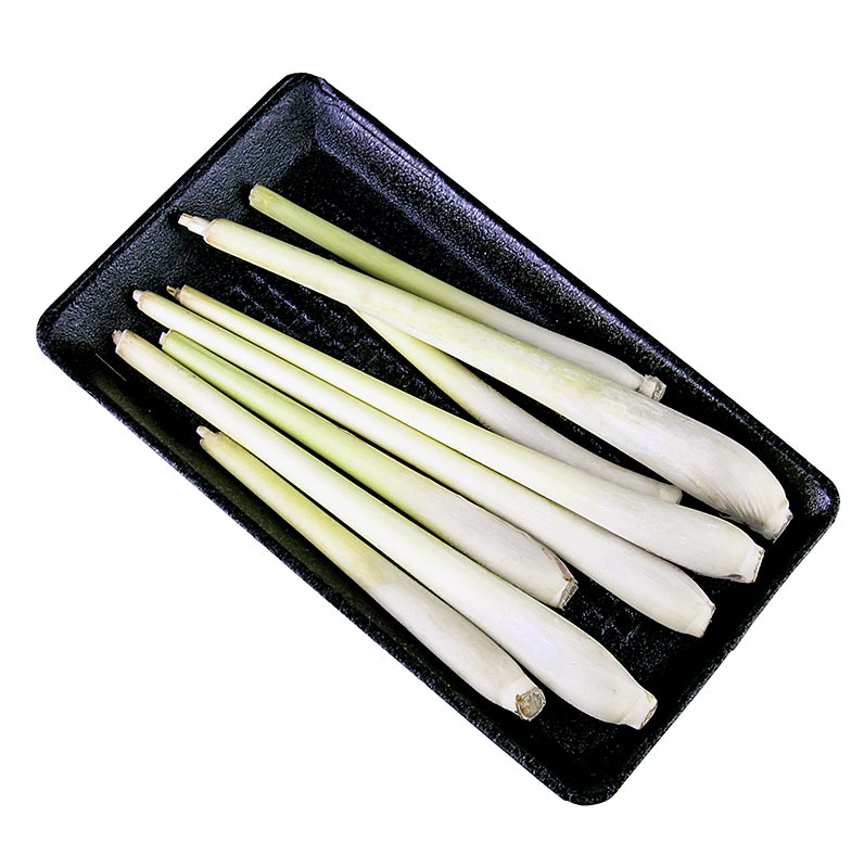 Citronnelle fraîche (sereh) d'environ 17 cm de long en 100 g, idéale pour les plats asiatiques, avec un parfum et un goût citronnés, parfaite pour les currys, les soupes et les plats aromatiques