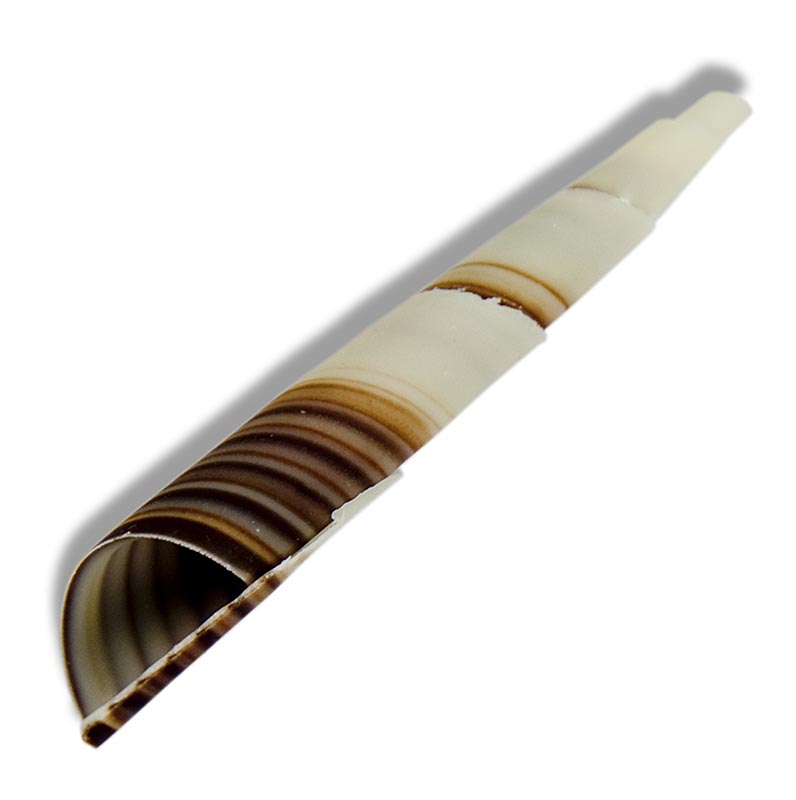 Décoration Cornet - Mini cornet, marbré, environ 80mm, 350 g, 117 pcs, cornet fin en chocolat noir et blanc pour les occasions spéciales, de Dobla, une entreprise néerlandaise traditionnelle avec plus de 40 ans d'expérience dans la fabrication de chocolat et le développement créatif de formes innovantes.