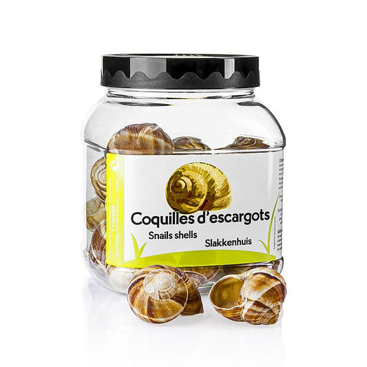 Coquilles d'escargots vides n°6 (grandes) à remplir ou à décorer, 24 pièces