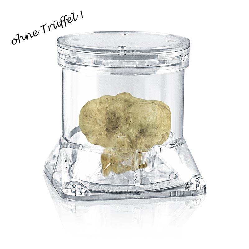 Tuber-Pack® Récipient à truffes, Ø 7 x 7cm H, transparent, avec non-tissé, 1 pc