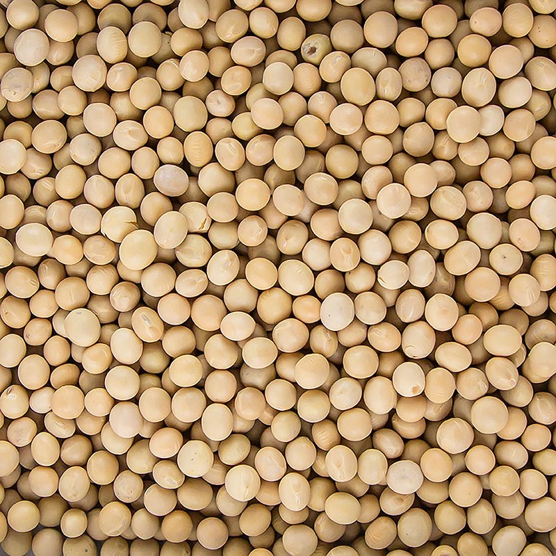 Fèves de soja séchées bio, riches en protéines végétales, polyvalentes dans la cuisine Acheter des fèves, des haricots de soja en Suisse