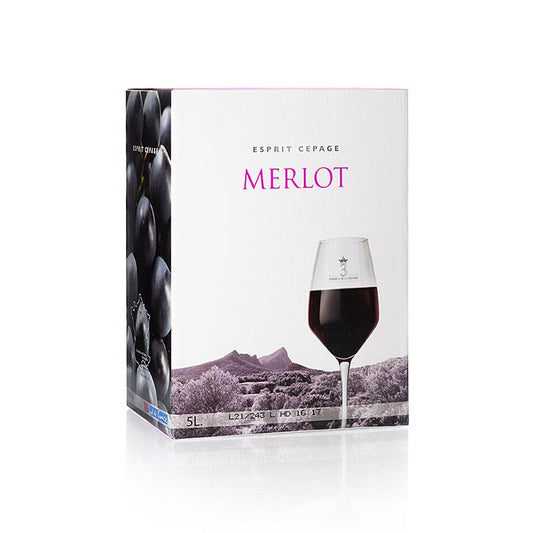 Merlot, sec, 13% vol, Bag in Box, Coteaux du Pic, 5 l - Vin en Bag-in-Box pratique, idéal pour les occasions conviviales