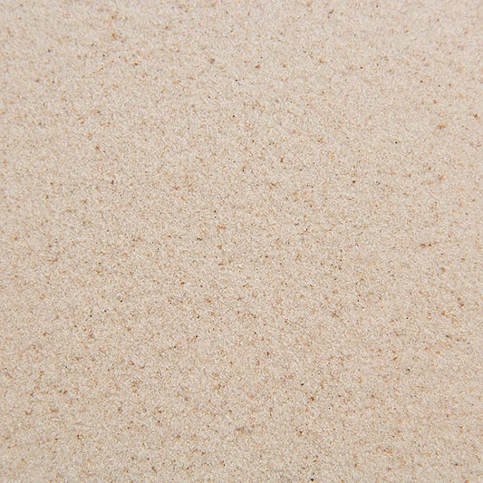 Peaux de graines de puces, moulues, 1 kg