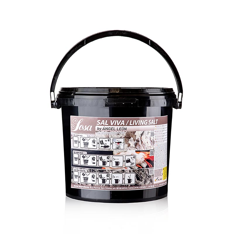 Sel Sal Viva / Living Salt by Ángel León, 3 kg - 100% naturel et obtenu de manière durable, au goût et à la texture uniques, idéal pour les plats gastronomiques, à acheter maintenant en Suisse