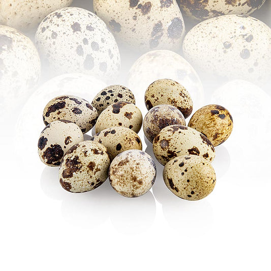 Œufs de caille frais du Vogelsberg, parfaits pour les canapés et les hors-d'œuvre, élevage écologique et respectueux des animaux