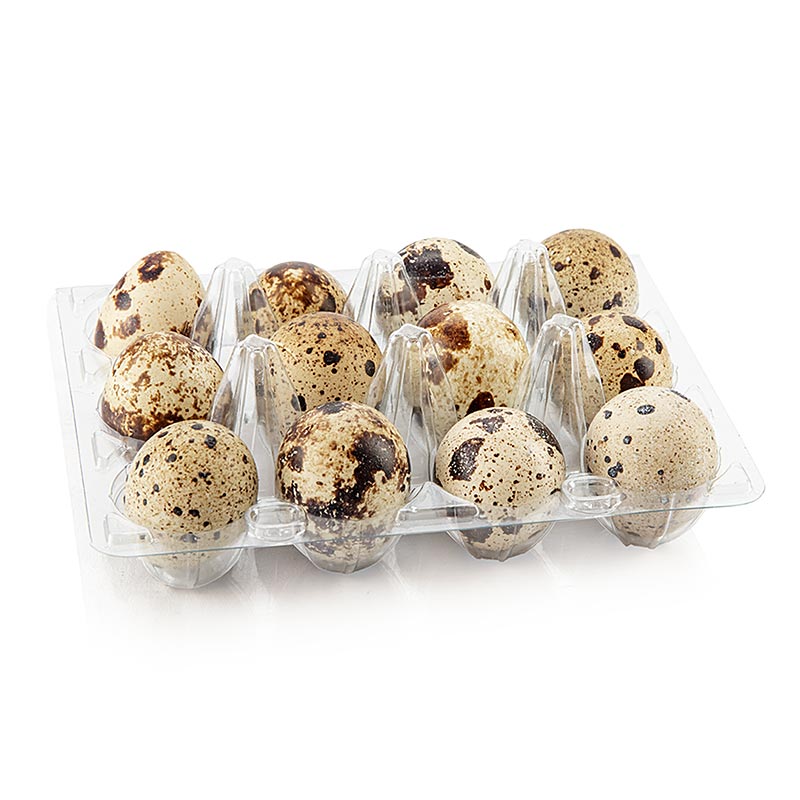 Œufs de caille Vogelsberger, frais, 12 pcs