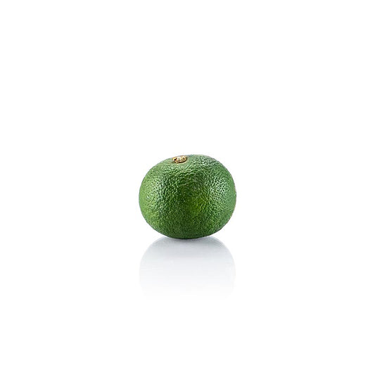 Sudachi, agrume vert acide, frais, env.20 g