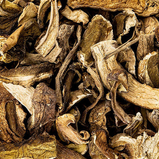 Cèpes séchés (Cèpes/Porcini) de Plantin, 1 kg, pour des créations culinaires pour assaisonner risotto, pâtes, sauces et soupes Idéal pour les cuisiniers amateurs et professionnels