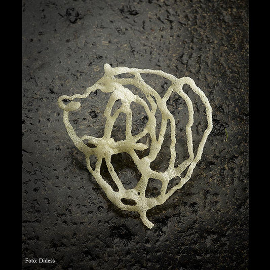 Tasty Bites « Miso & Za'atar », base de riz pour friture, Didess, 170 g, 60 pièces | Asia & Ethno Food | thungourmet