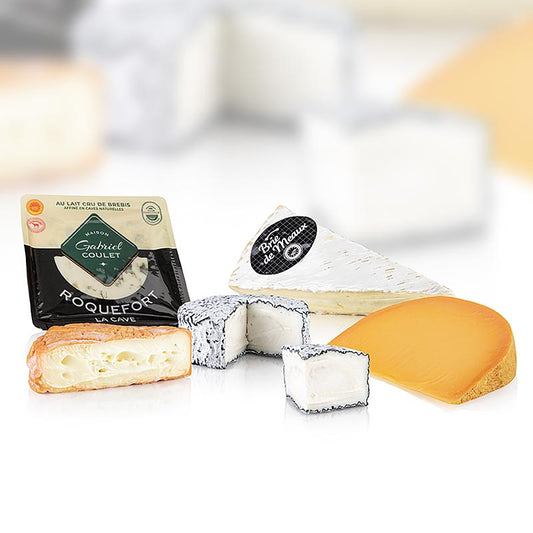 Set de fromages France, 5 sortes, 775 g, 5 pcs - Différents fromages de France dans une sélection de 5 pièces, 775 g au total