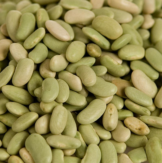 Fagioli verdi flageolet secchi, sottili e piatti, particolarmente apprezzati in Francia Tradizionalmente serviti con l'agnello