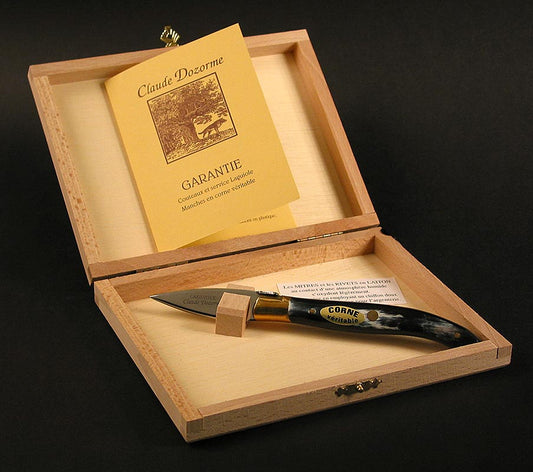 Coltello per ostriche con lama larga e manico in corno, elegantemente confezionato in una scatola di legno