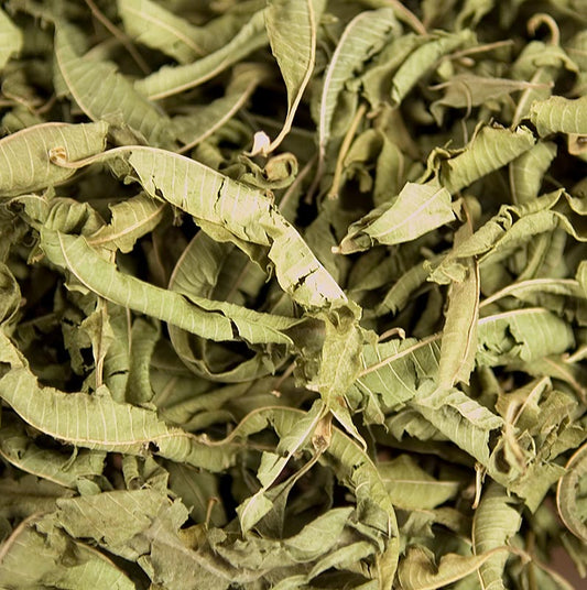 Verbena del limone (verveine), foglie intere, 100 g - Foglie intere fresche di verbena del limone in confezione da 100 g